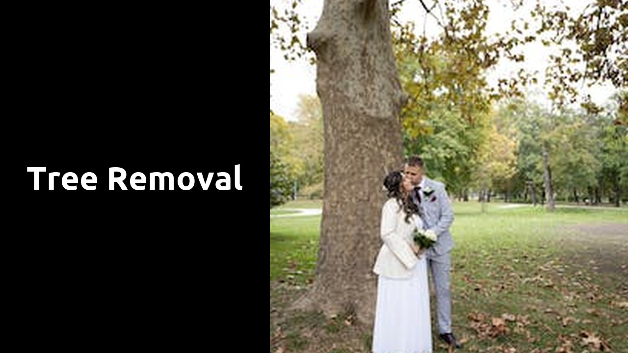 Tree Removal
